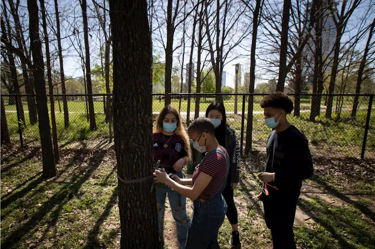UH students are hiding cameras across Houston to capture wildlife close to the city