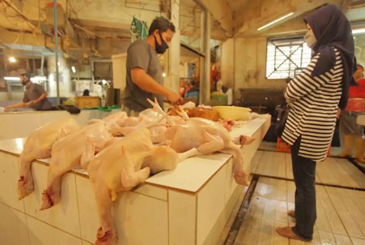 Harga Pangan Jakarta Hari Ini Tepantau Naik, Daging Ayam Tembus Rp40.444 Per Ekor