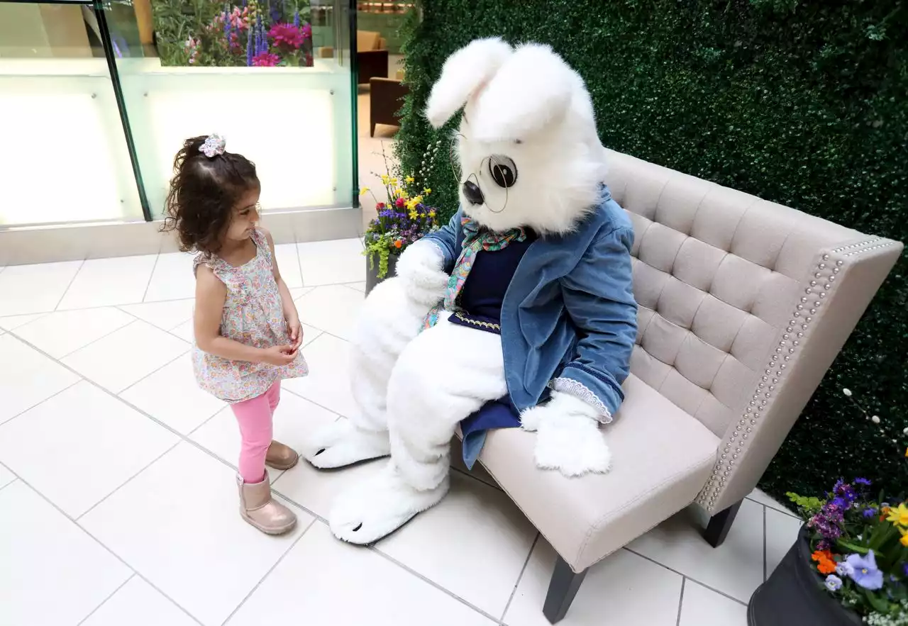 Kids get quiet time with Easter Bunny in sensory-friendly photo opp at N.J. mall