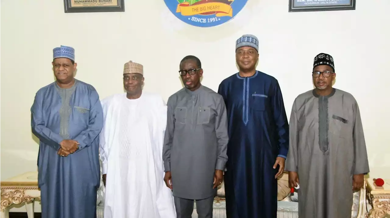 2023 Presidency: Why northern PDP aspirants are exploring consensus candidacy - Saraki