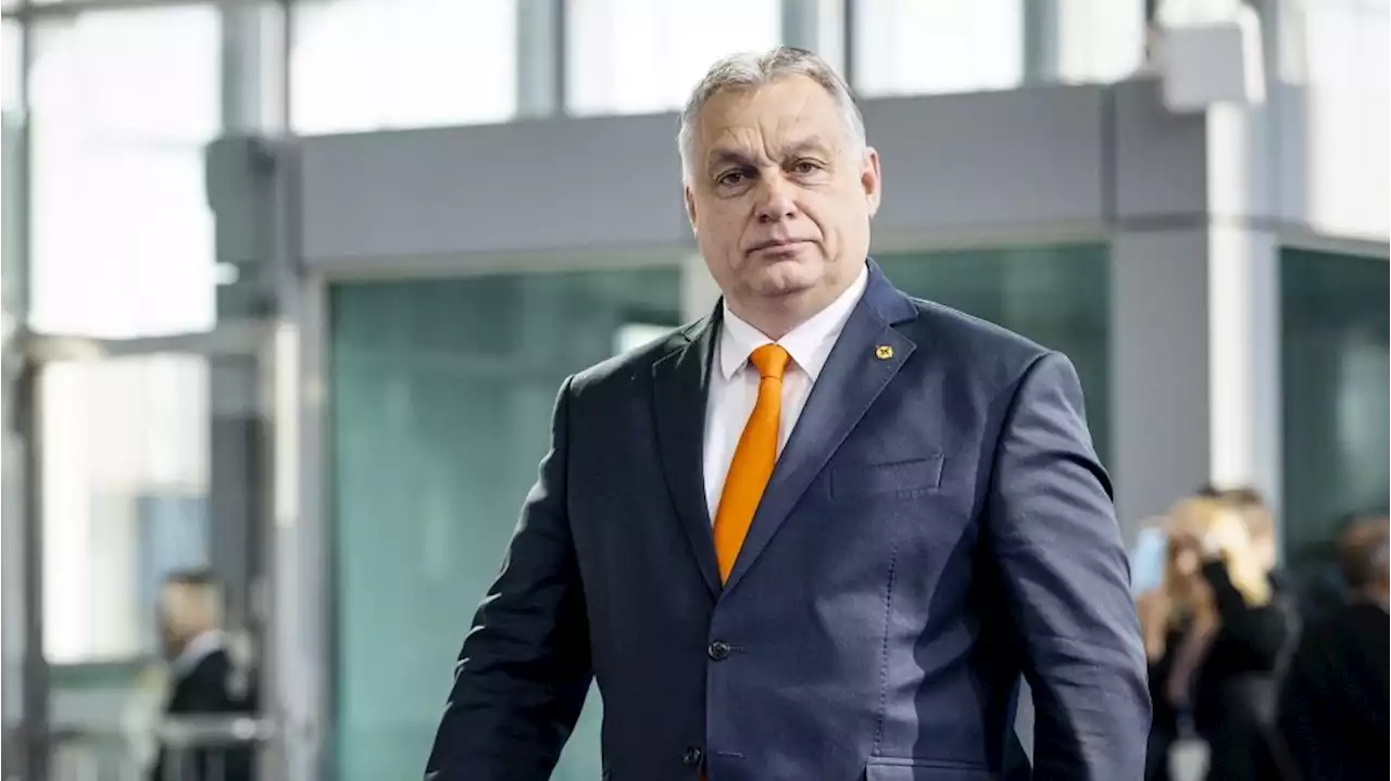 Wahlen in Ungarn: Orban vor deutlichem Sieg