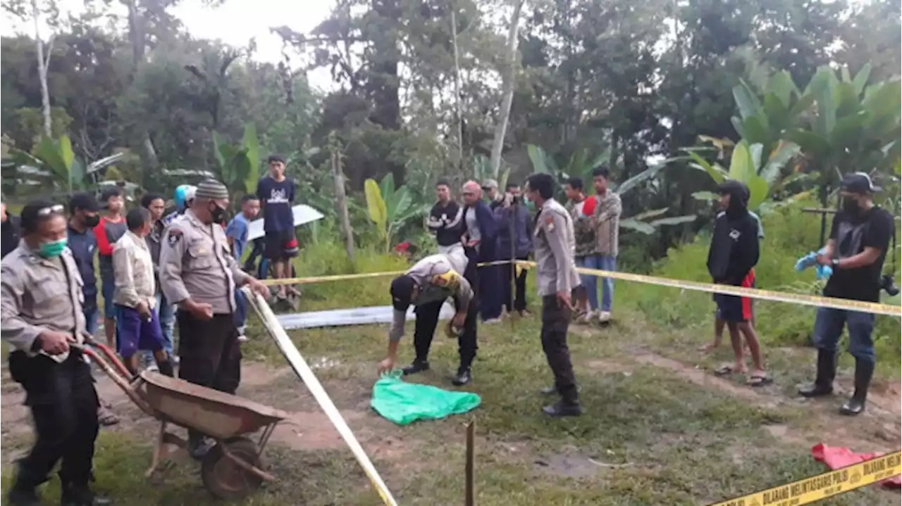 Warga Tana Toraja Digemparkan dengan Penemuan Jasad Bayi saat Diseret Anjing