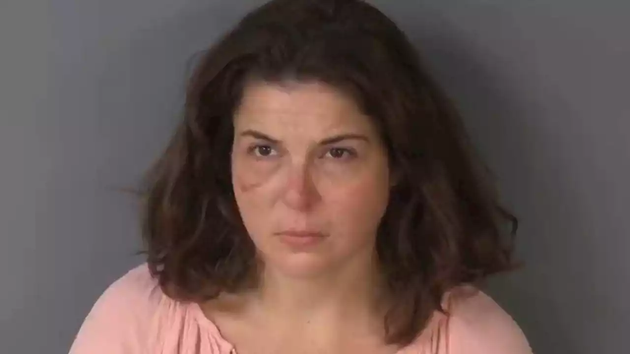 Woman arrested for stealing over $10K worth of merchandise from Orange Park Mall, deputies say