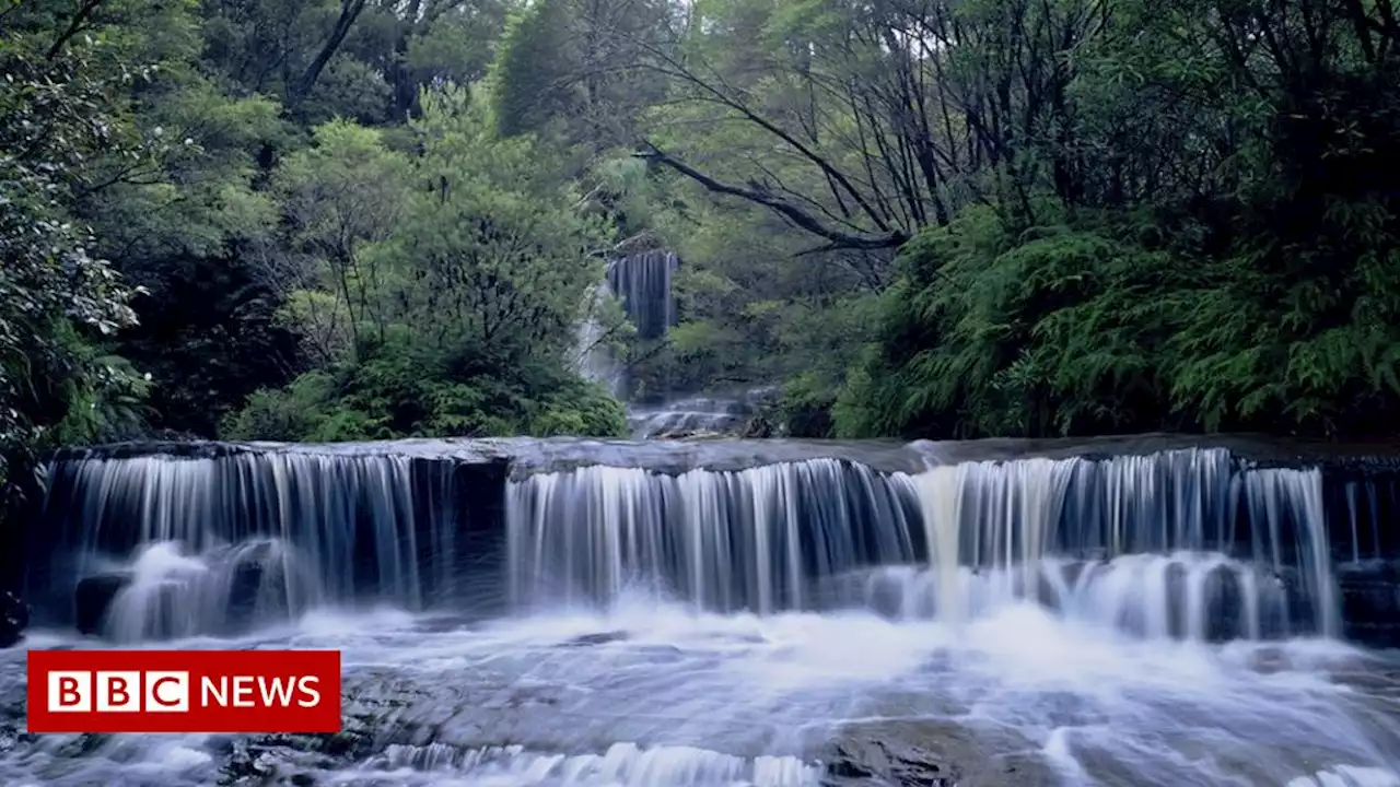 Australia landslide: Two members of British family killed and others injured