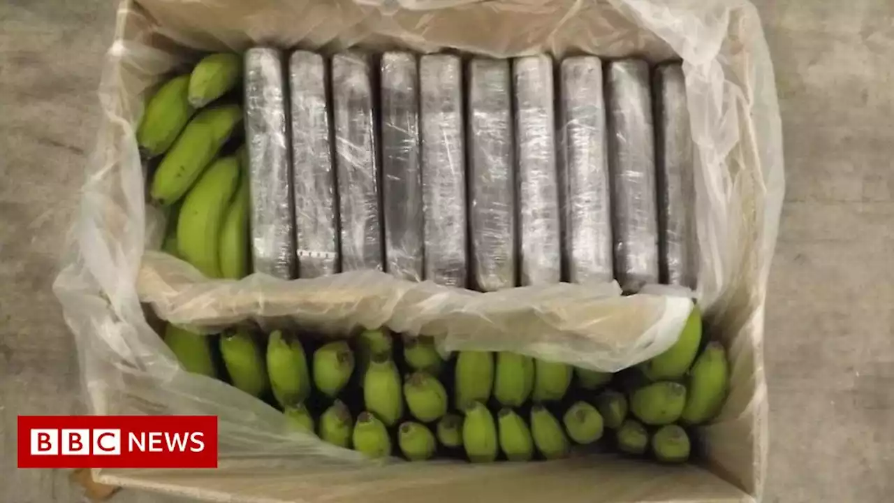 Cocaine worth £302m found in Southampton is 'largest in UK'