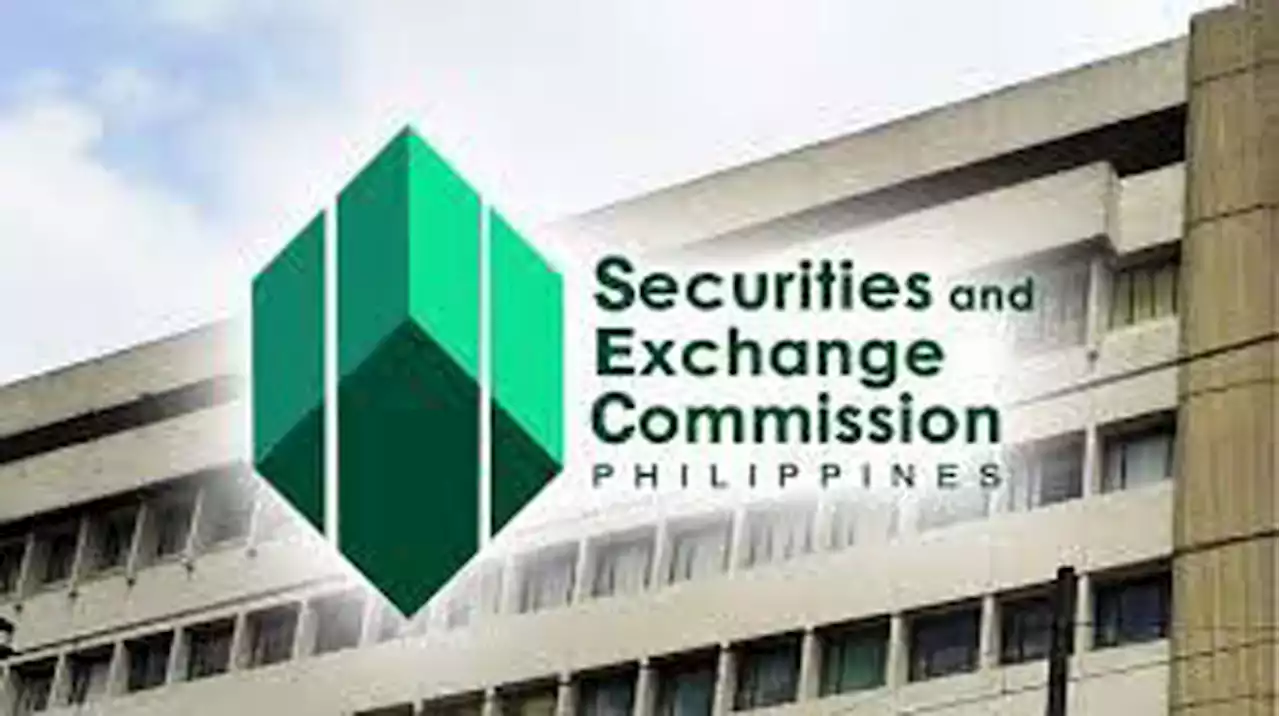 Francisco gets new term as SEC official | VG Cabuag