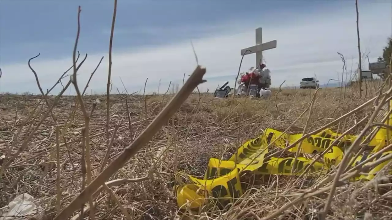 Consecutive Tragedies: Woman Killed By Driver While Paying Respects At Late-Friend's Roadside Memorial