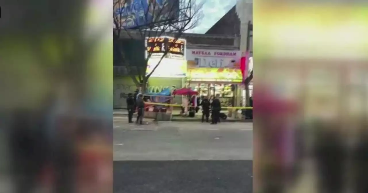 NYPD: Innocent woman shot, killed by stray bullet near Grand Concourse