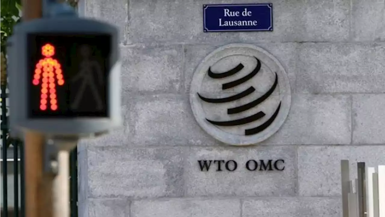 WTO Pangkas Pertumbuhan Ekonomi Dunia Jadi 2,5%, Ada Apa?