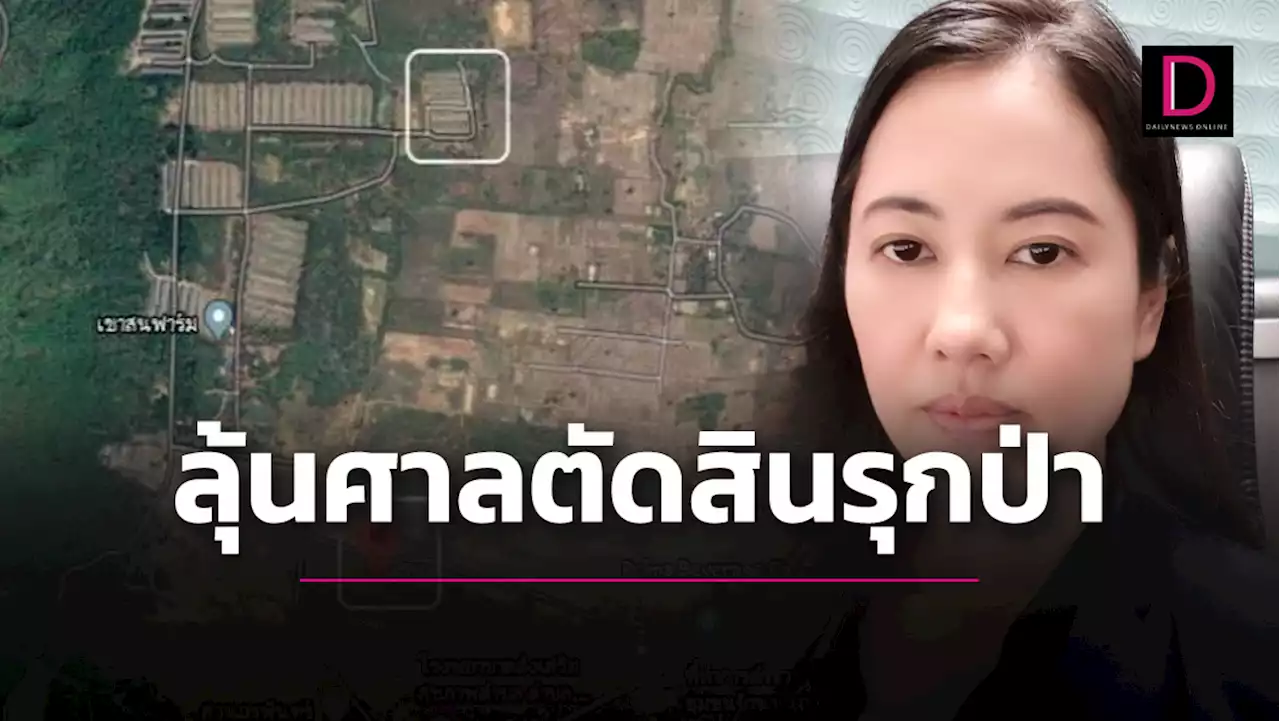 ลุ้นระทึก! 7เม.ย.ศาลตัดสินคดี 'ปารีณา' บุกรุกพื้นที่ป่าสงวนฯ | เดลินิวส์