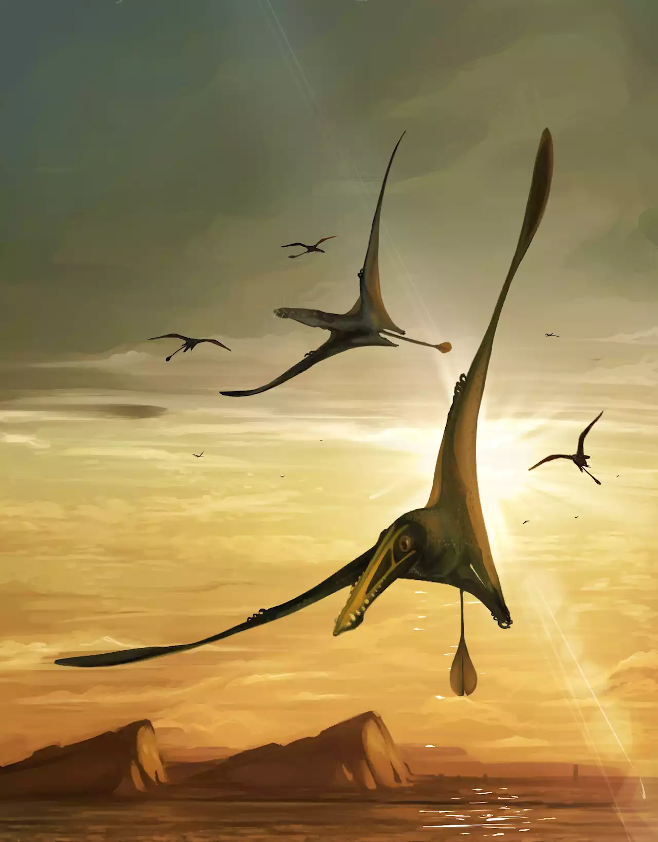 Rare Middle Jurassic Pterosaur Found Perfectly Preserved in Scotland