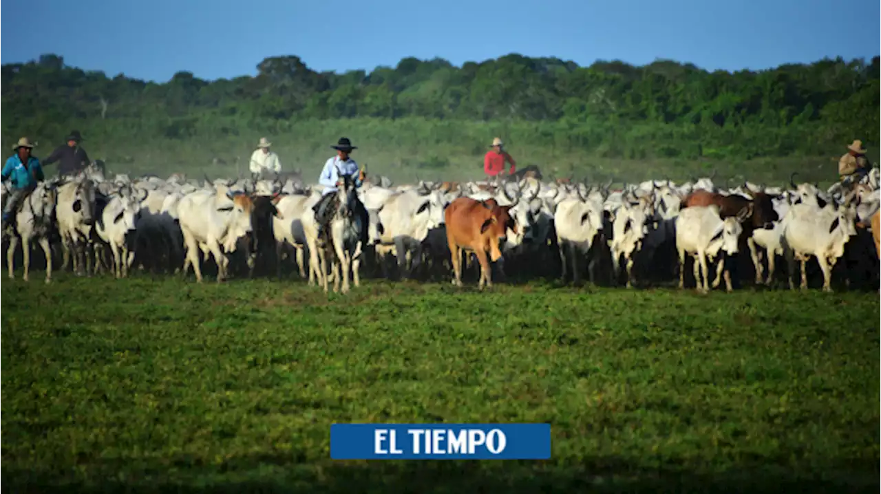 Gobierno extendió el arancel cero a otros 39 insumos agropecuarios