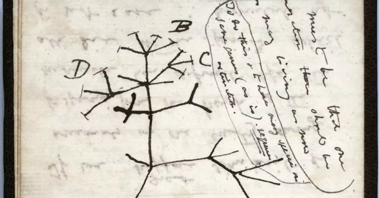 Missing Charles Darwin notebooks returned to Cambridge University
