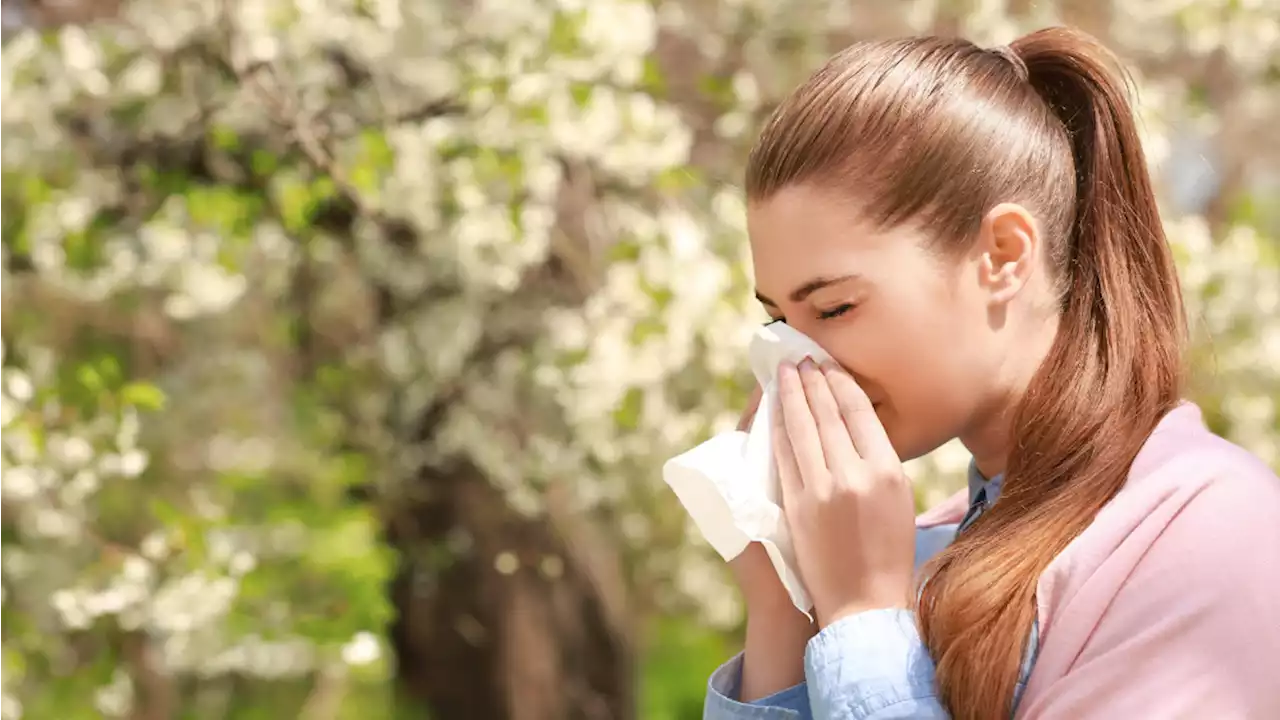 Allergie au pollen : ces aliments qui soulagent les symptômes