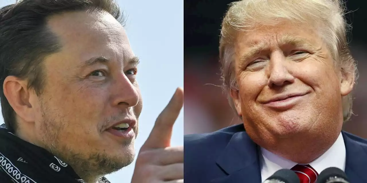 Speculation grows that Elon Musk will reinstate Trump following Twitter purchase