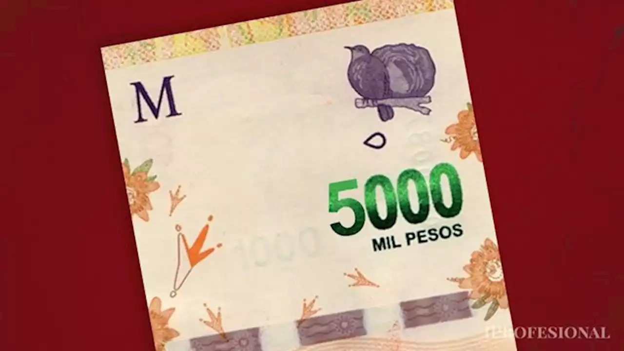 Quieren emitir billetes de 5000 pesos con la cara de dos...