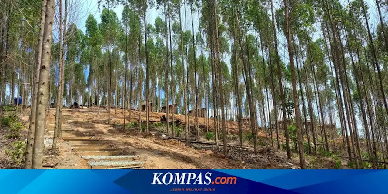 Kepala Otorita IKN: Kita Bukan Hanya Bangun Pusat Pemerintahan, Tapi Kota yang Liveable