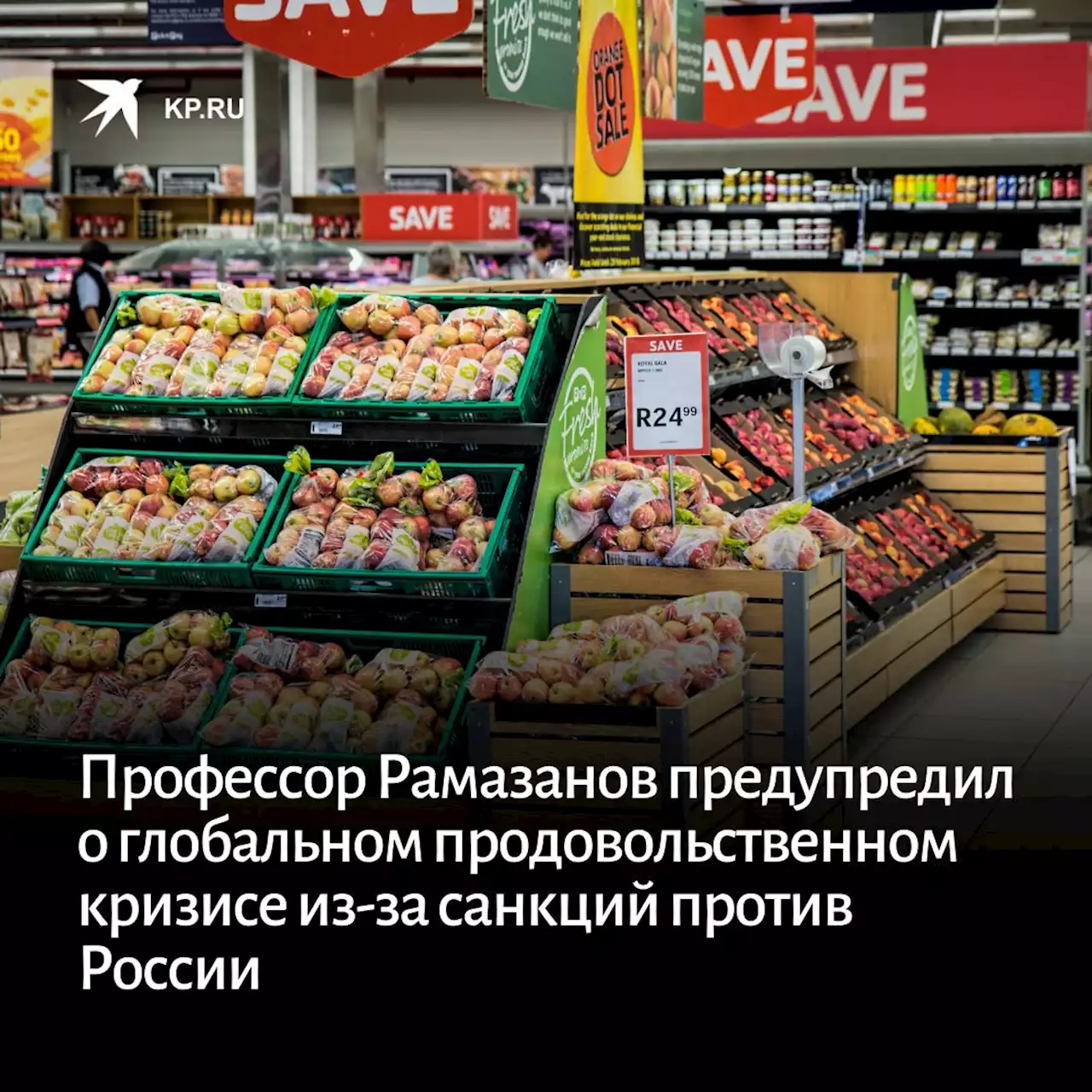 Профессор Рамазанов предупредил о глобальном продовольственном кризисе из-за санкций против России