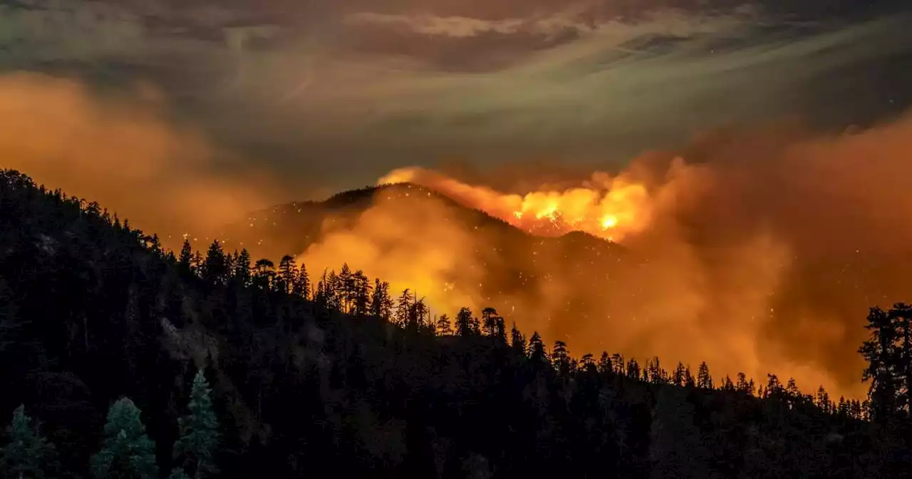 UN Says We Have Eight Years To Avoid The Worst Of The Climate Crisis. And In LA, Things Don’t Look Pretty.