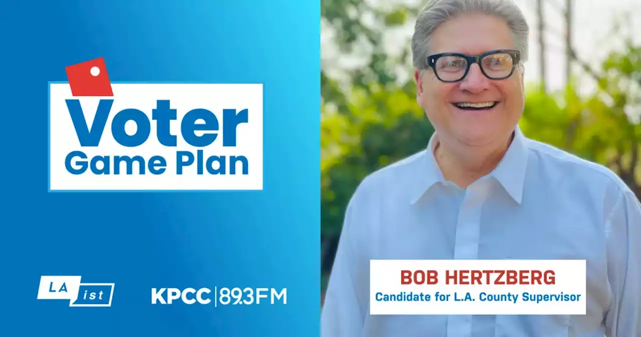 Meet Bob Hertzberg: A Virtual Event With A Los Angeles County Supervisor Candidate