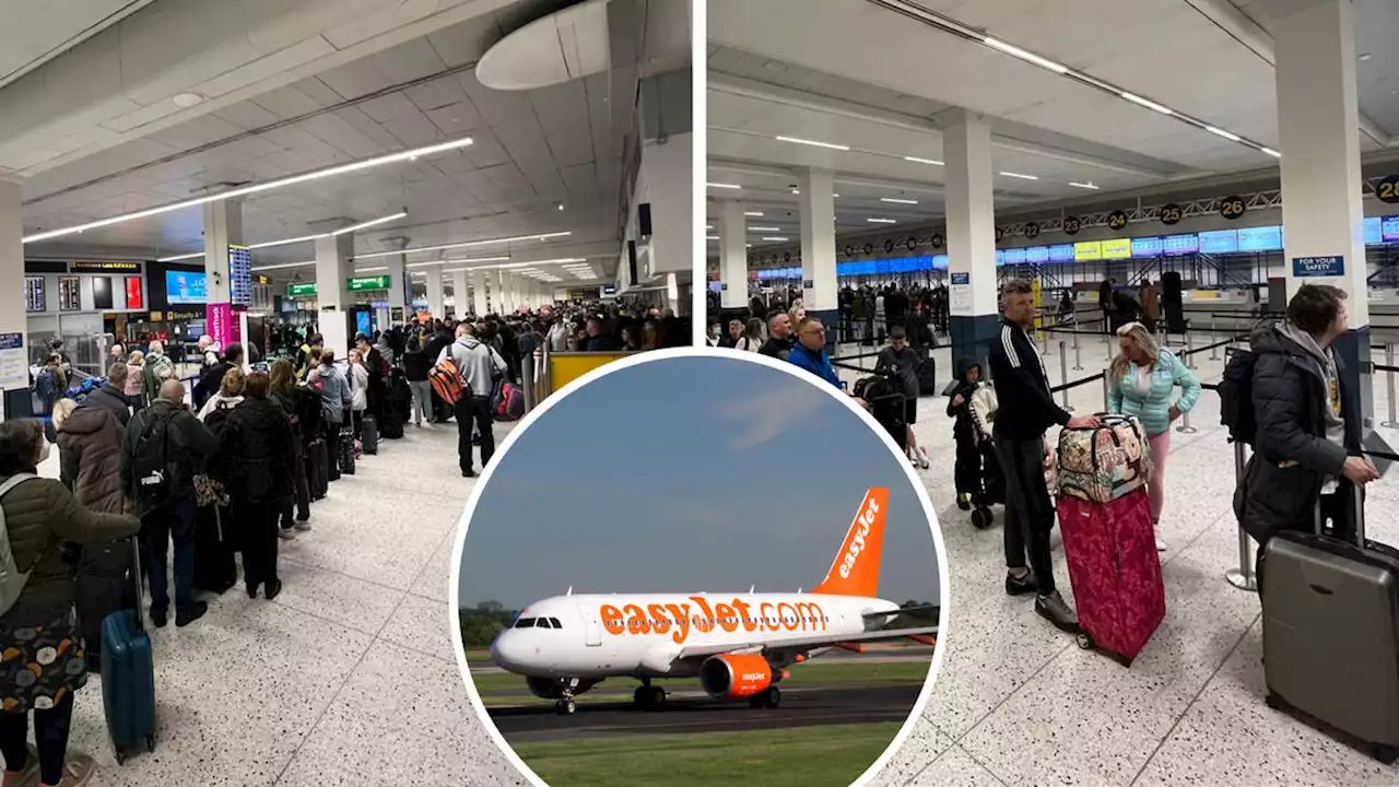 'Devastating': Easter airport shambles with 5 hour long queues and 1,000 flights cancelled