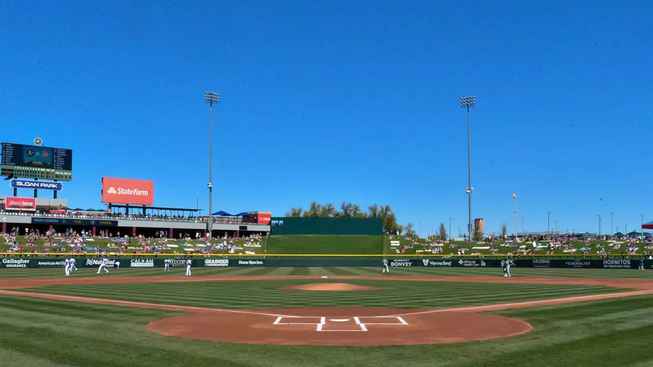 Watch Cubs' Ethan Roberts Find Out He's Made Opening Day Roster