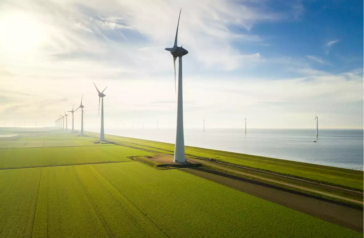 Wind Energy Needs Dramatic Increase to Hit Net-Zero Goals, New Report Says