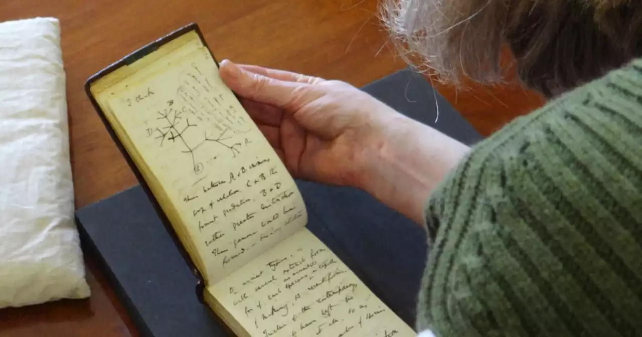 Darwin's missing 'tree of life' notebooks mysteriously returned after 20 years