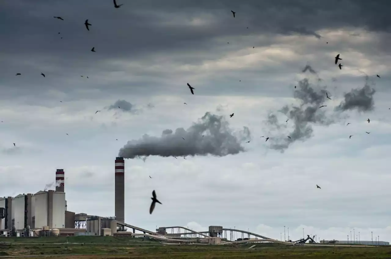 Coal use must fall by 60% to stop world from overheating - and SA must do its bit | Fin24