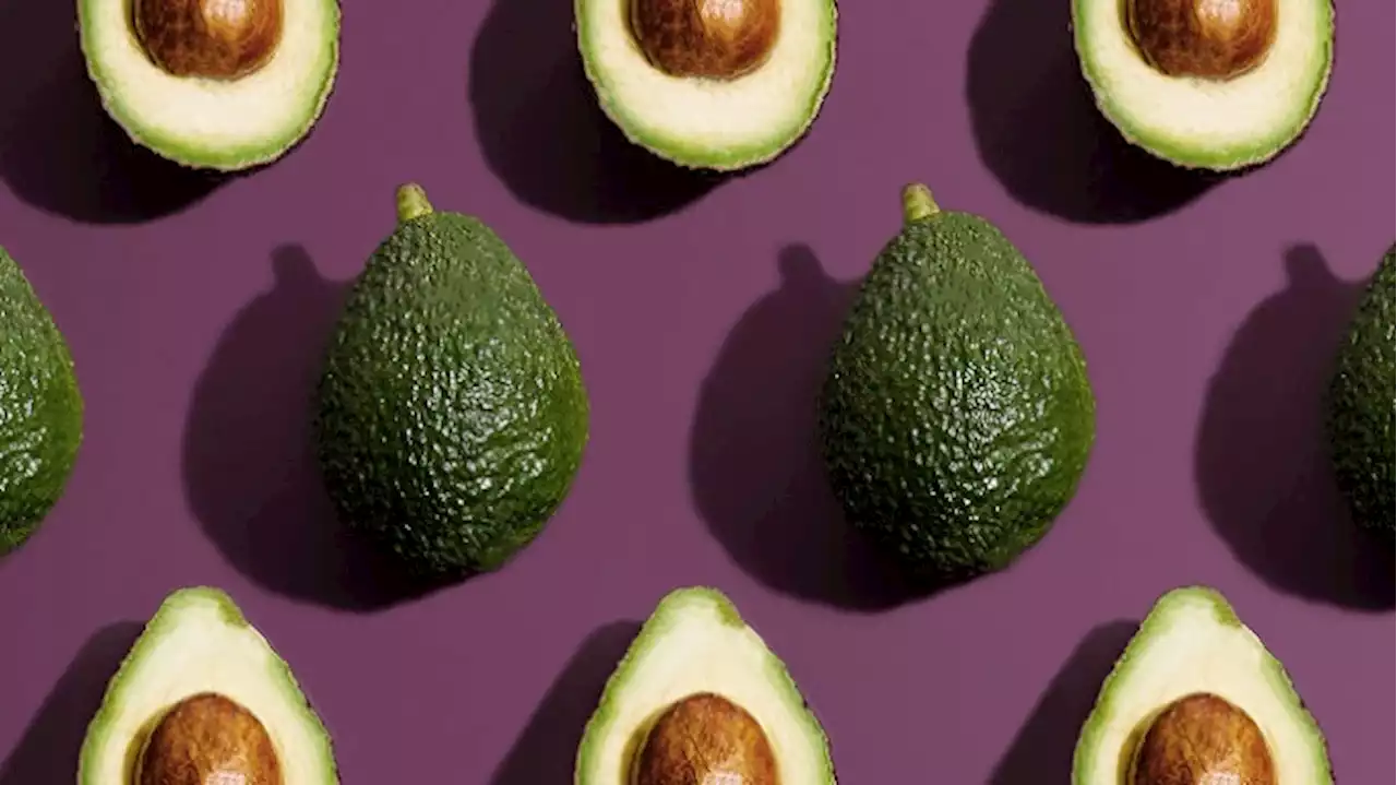 Hot Take: Avocados Aren’t Even That Good