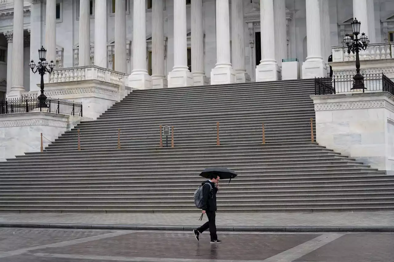 ‘Aggressive’ foxes reported on grounds of U.S. Capitol