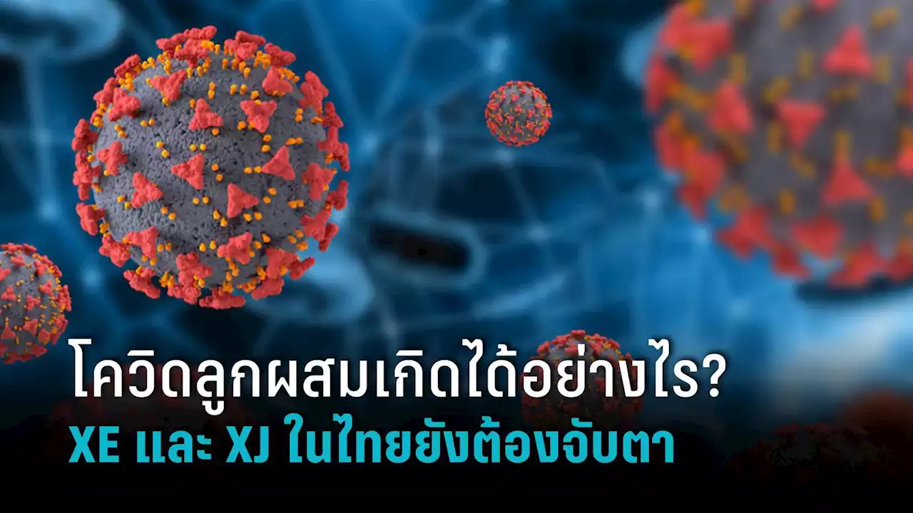 ไขข้อสงสัย โควิด-19 ลูกผสมเกิดได้อย่างไร พันธุ์ XE และ XJ ในไทยยังต้องจับตา