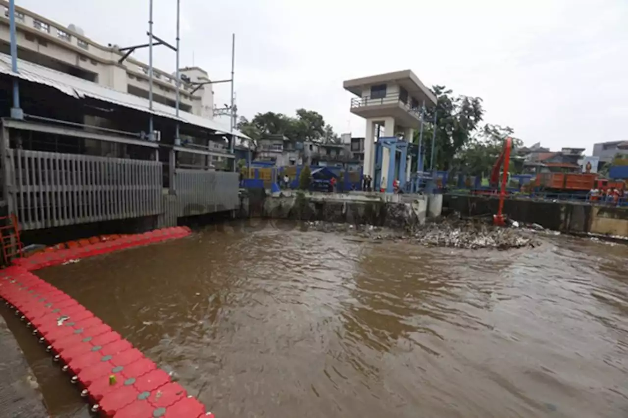 Pintu Air Pasar Ikan hingga Sunter Hulu Berstatus Waspada