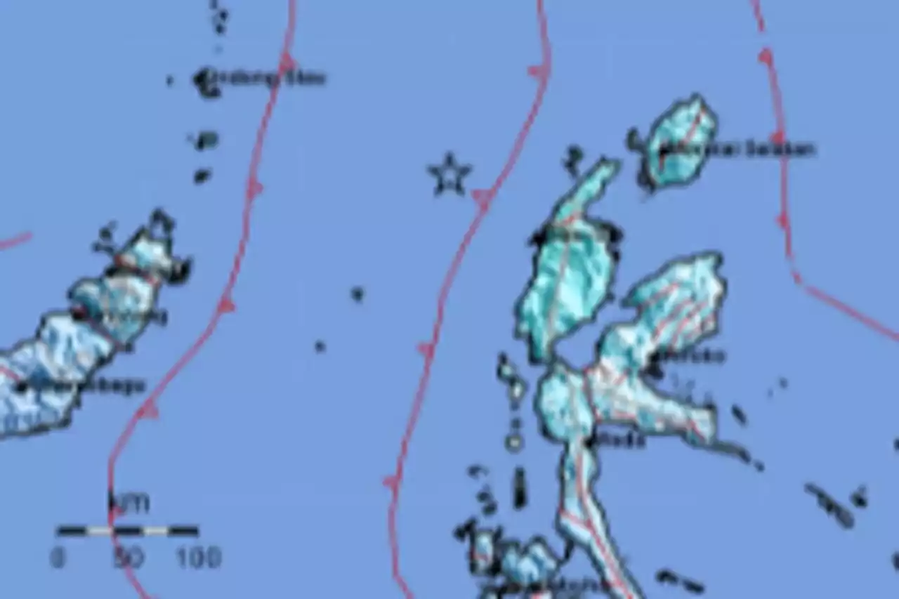 Gempa M6,0 Guncang Halmahera Barat, Tidak Berpotensi Tsunami