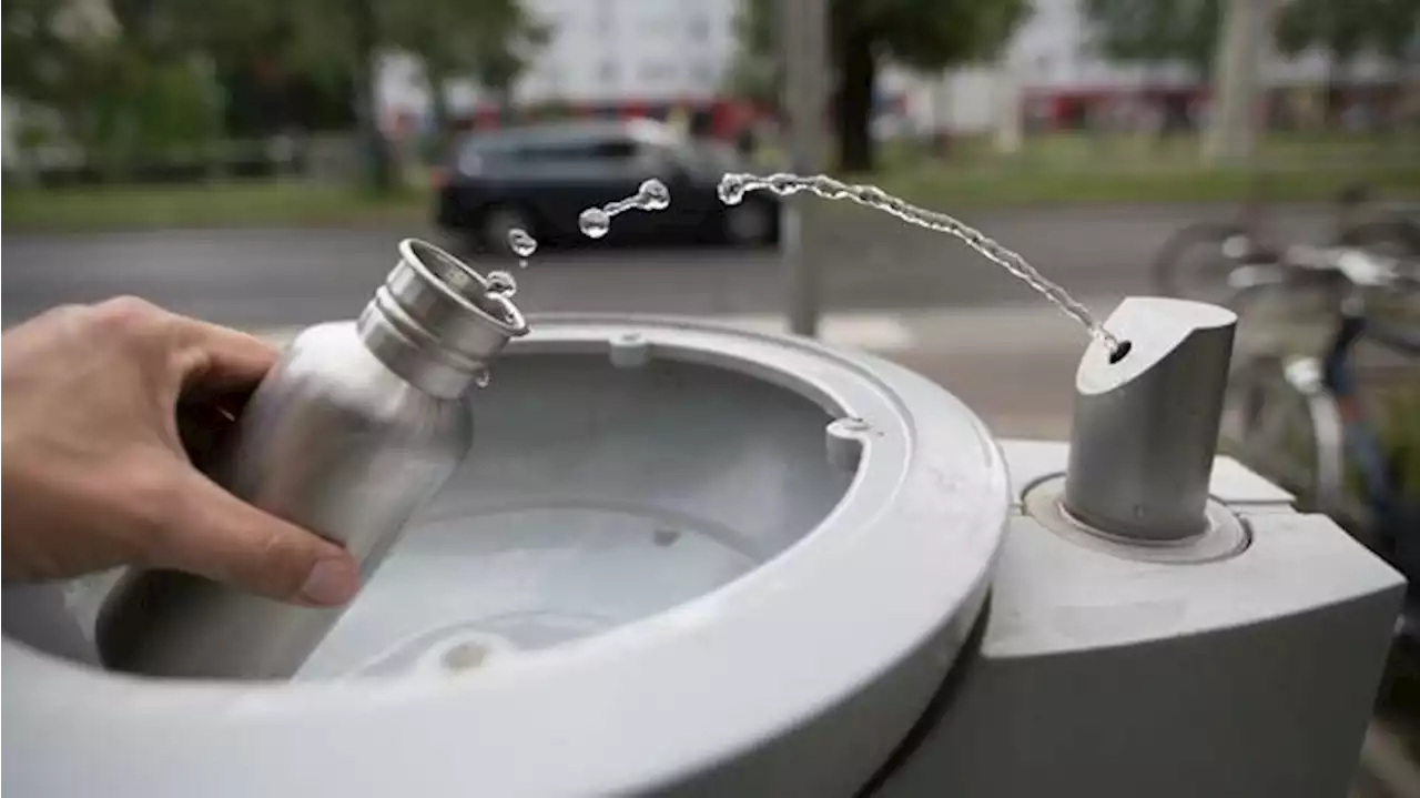 Senat denkt über Trinkwasser-Rationierung bei Trockenheit nach