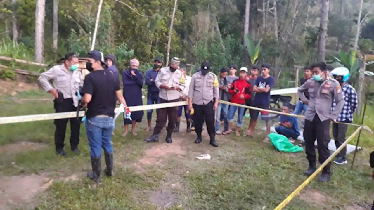 Gempar Tubuh Bayi Diseret dan Dimakan Anjing di Tana Toraja, Polisi Turun Tangan