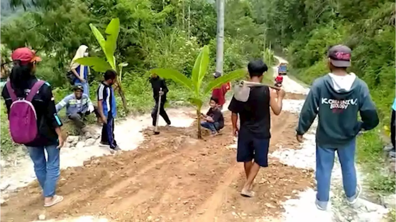 Protes Jalan Rusak, Warga Awan Rantekarua Toraja Utara Tanam Pisang di Jalan