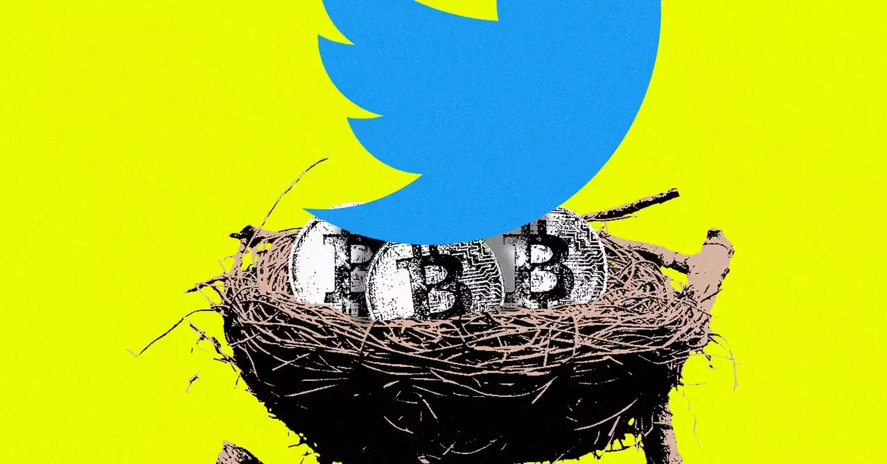 What Twitter Is Really Planning for Crypto