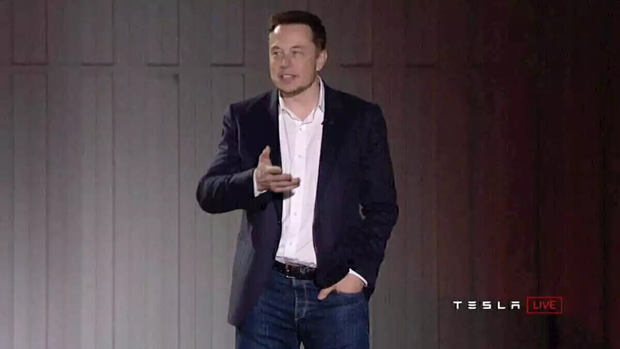 Elon Musk kommt in Twitter-Verwaltungsrat | W&V