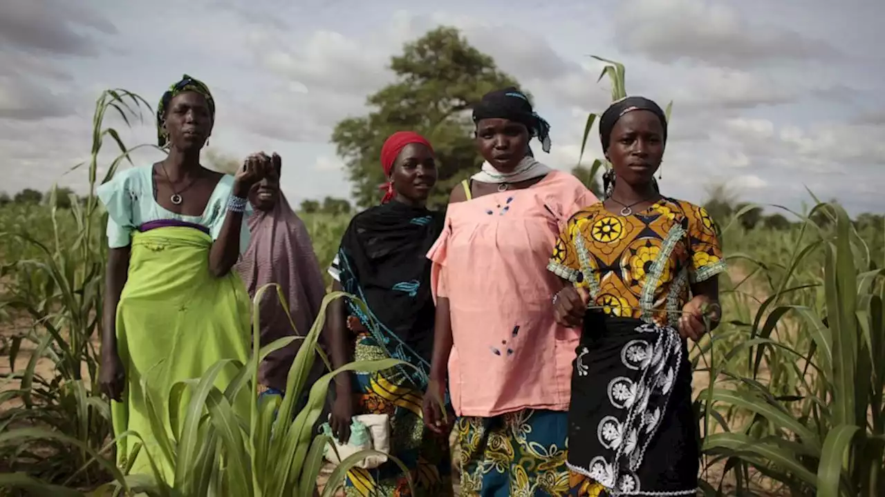 West Africa has worst food crisis in decade, aid groups say