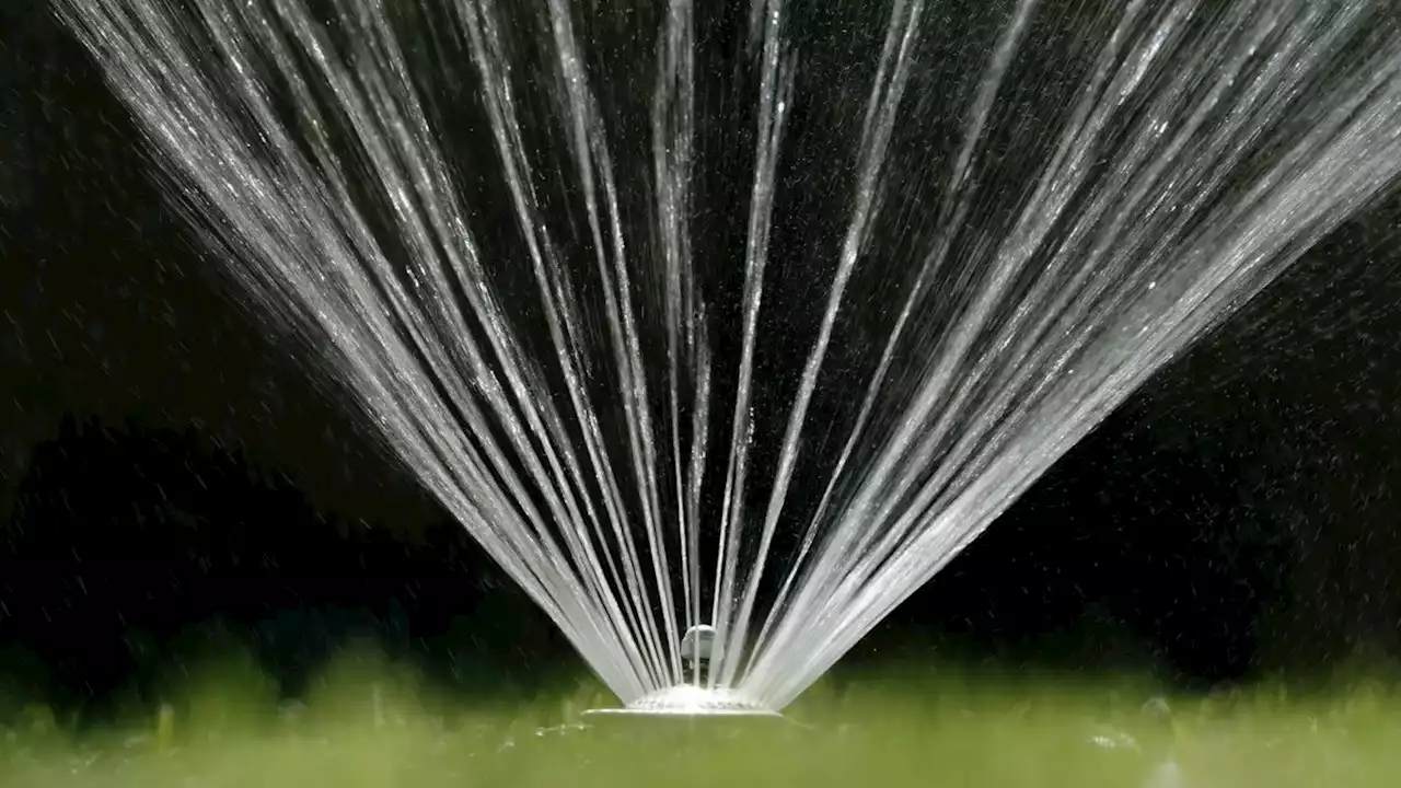 How to conserve water and still keep your lawn green