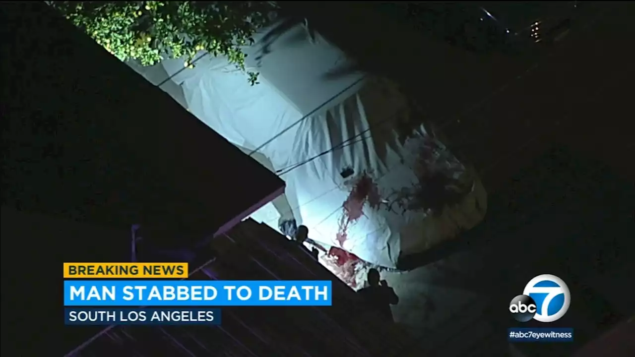 Fatal stabbing prompts homicide investigation at grisly crime scene in South LA; assailant at large