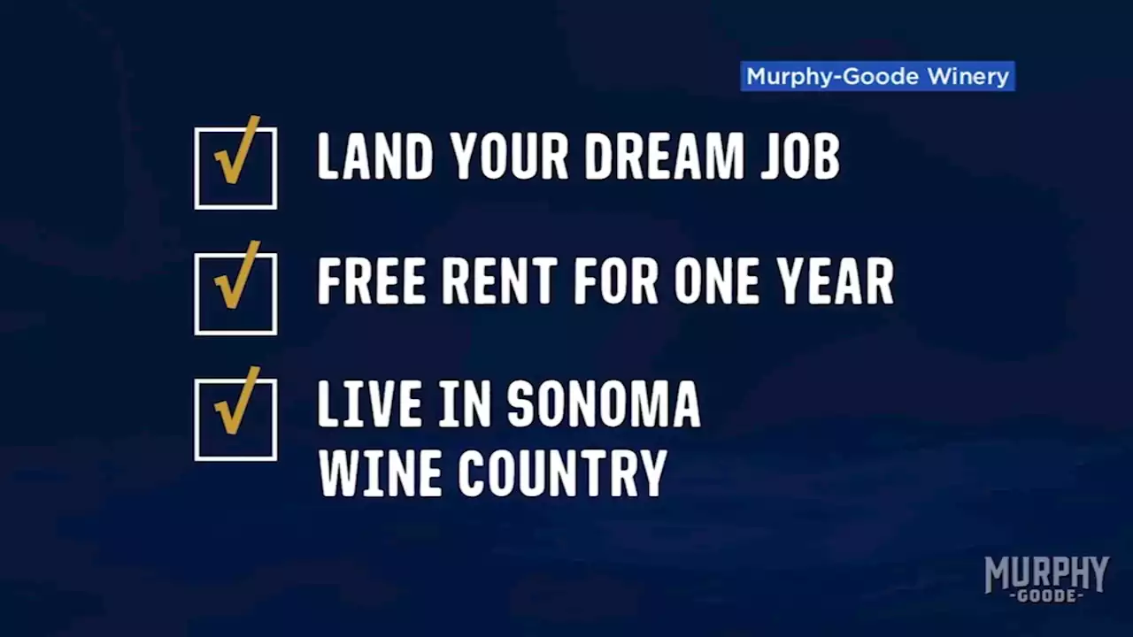 Dream job alert: Sonoma County winery will pay you $10K/month to taste wine