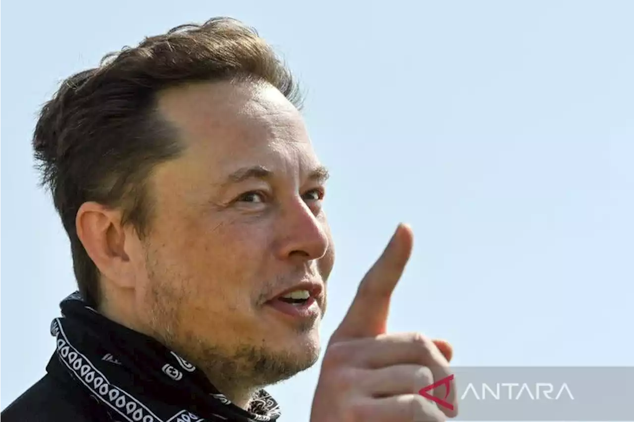 Elon Musk bergabung sebagai dewan direksi di Twitter