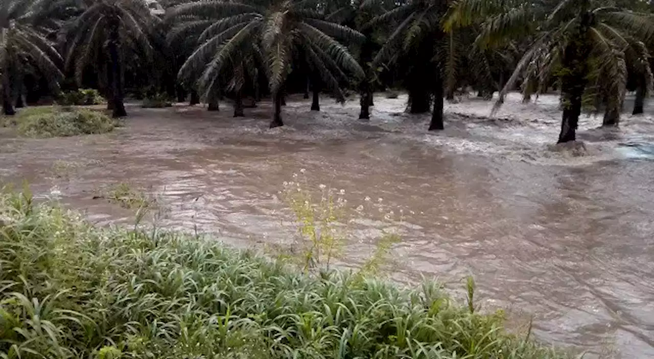 Video: impresionante inundación por desbordamiento del río Magdalena en Puerto Wilches, Santander