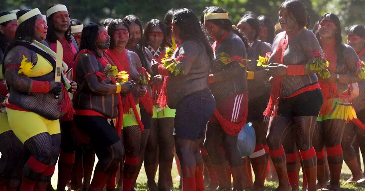 En fotos: Campamento Indígena Tierra Libre en Brasilia, durante diez días debatirán candidaturas indígenas