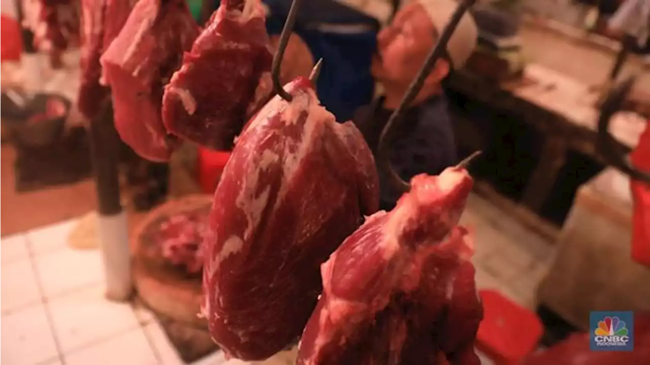 Harga Daging Sapi 'Meledak', Pedagang Pusing Tujuh Keliling!