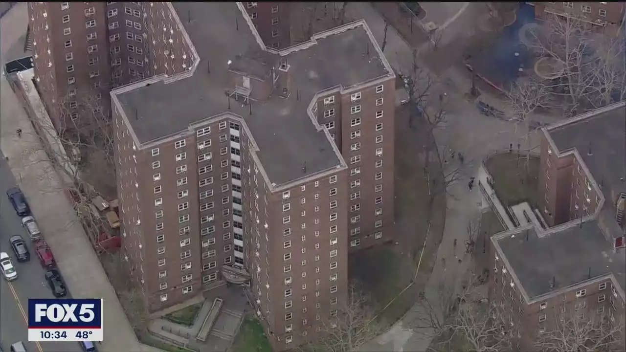 4-year-old survives falling out of 6th-floor window in the Bronx