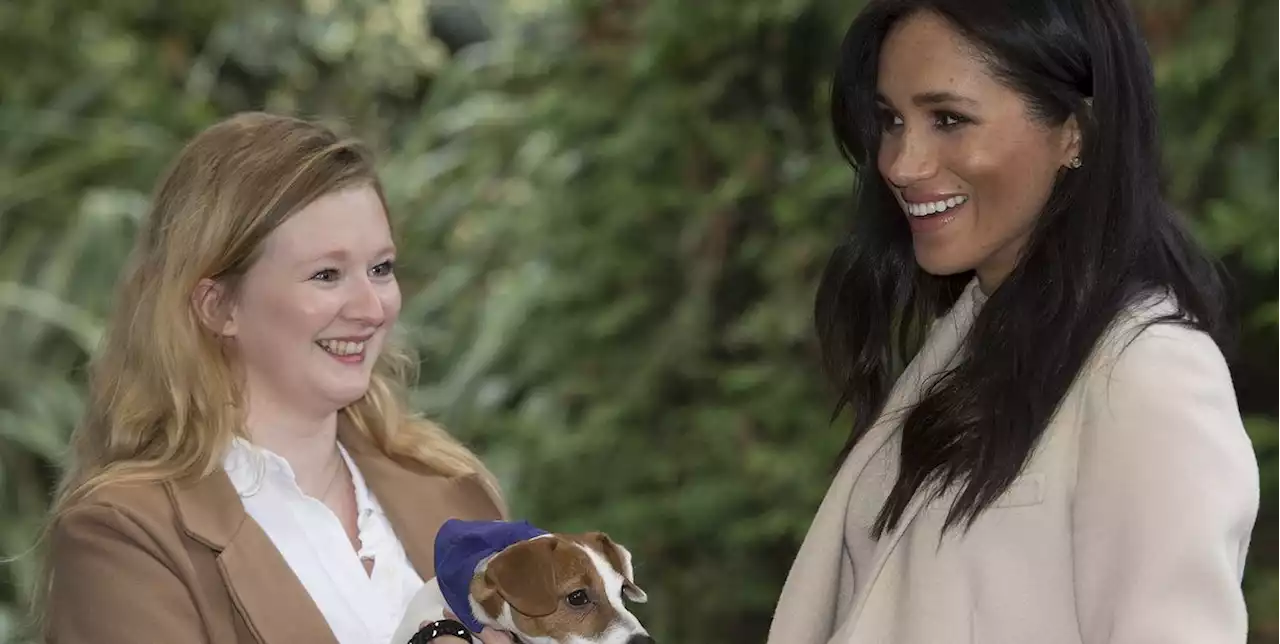 Duchess Meghan Writes a Touching Letter After Her Animal Charity Patronage Ends