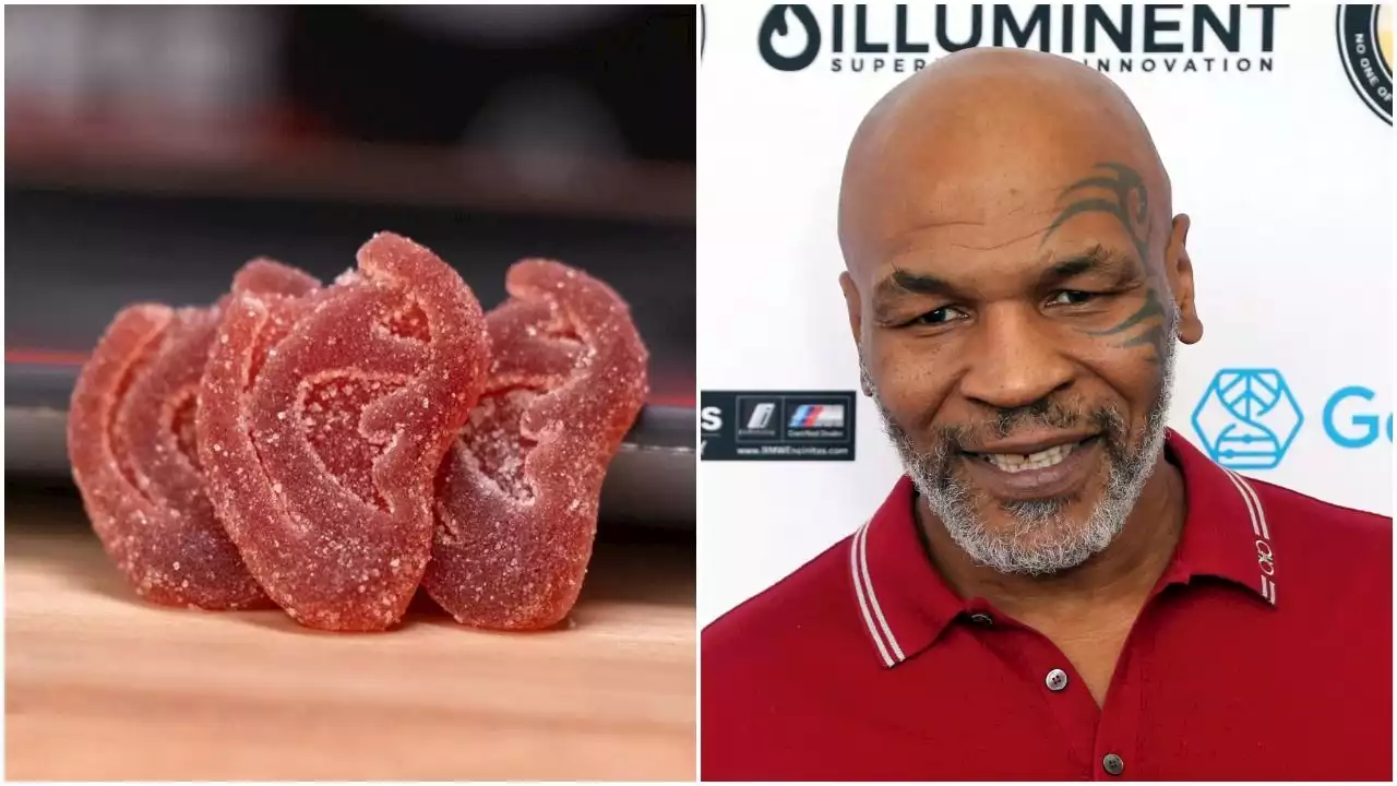 Mike Tyson Can't Sell Ear-Shaped Cannabis Gummies In Colorado